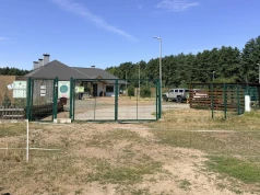 Zwierzogród zajął się młodym bielikiem z Parku Kasprowicza