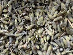 To naturalny sposób na stres, ale ta roślina skrywa więcej niż myślisz