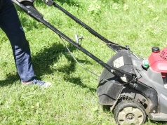 Nie wyrzucaj trawy. Większość Polaków nie wie, że to darmowy skarb. Co to znaczy?
