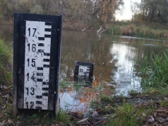 Susza na Lubelszczyźnie. Rzeki biją rekordy niskiego stanu, zagrożone są uprawy