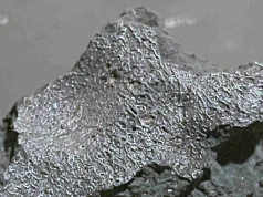Meteoryt z New Jersey rzuca światło na początki życia na Ziemi