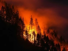 Rdzawe niebo nad Kanadą. Ponad 800 pożarów, ewakuują Indian