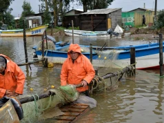 El Niño w akcji. Potężne ulewy zabiły ludzi w Chile