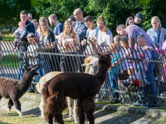 Zoo w Warszawie z pilnym apelem do turystów. A ja nie wiem, gdzie stoi zwierzę