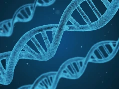 Polscy naukowcy za pomocą symulacji sprawdzają zachowania różnych sekwencji DNA