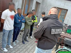 Nielegalna praca przy zbiorze owoców. Pośrednik ukarany grzywną 15 tys. zł