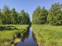 ORLEN przyjął strategię na rzecz bioróżnorodności do 2030 roku