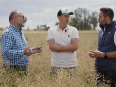 „Ziemi nie da się oszukać”. Rolnik z Kujaw przeszedł na strip-till i ograniczył liczbę przejazdów po polu