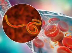 WHO: Obecna epidemia Eboli rozwija się najszybciej w historii