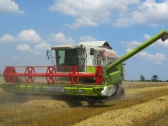 17.07.2026 Ceny skupu zbóż, kukurydzy, oleistych i strączkowych: po ile ziarno ze zbiorów 2026?