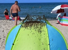 Zaskakujący widok na plaży w Jastarni. Interweniowali strażacy