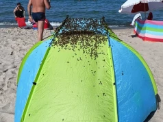 Niecodzienne zjawisko na plaży w Jastarni. Natychmiast zadzwonili po służby