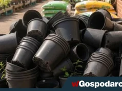 Unijny zakaz dla plastikowych doniczek. Jakie produkty są wycofywane?