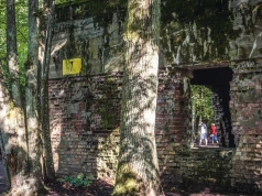Ta tajemnica Wilczego Szańca do dziś nie daje spokoju. Pod ruinami znaleźli ludzkie szczątki