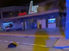 Bóbr wybrał się nocą do kina. Policjanci zapewniają, że mandatu nie dostał