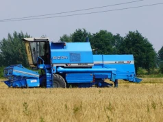 W woj. łódzkim ruszyły żniwa. Na polach gęsto od kombajnów