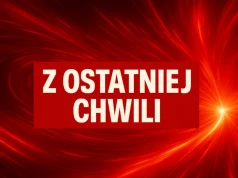 Alarm na lotnisku Modlin. Co znaleźli Funkcjonariusze Straży Granicznej?