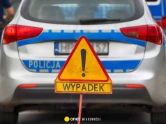 Śmiertelny wypadek koło Torunia. Samochód uderzył w konar drzewa