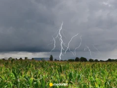 To się dzieje w ciele po uderzeniu pioruna. Naukowcy pokazują, co dzieje się z sercem