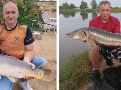 Dwa rekordowe okazy! Takie ryby można łowić na Dolnym Śląsku