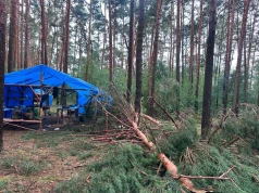 Ponad 120 interwencji po burzach w Wielkopolsce. Ewakuowano uczestników obozu harcerskiego