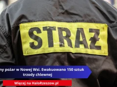Groźny pożar w Nowej Wsi. Ewakuowano 150 sztuk trzody chlewnej