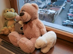 Rewolucyjny wyrok sądu w Niemczech dla dzieci urodzonych z nasienia dawcy. "Te poczęte w imprezową noc były lepiej traktowane"