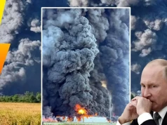 Grzyby aż do nieba! Totalny pogrom wokół Moskwy (WIDEO)