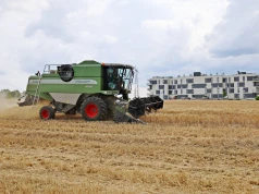 Żniwa między blokami na Wrotkowie w Lublinie. Ponad 8 hektarów pszenicy znika z miejskiego pola
