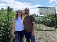 Ma 220 ha, ale na zbożu nie zarabia. Postawił na labirynt w kukurydzy