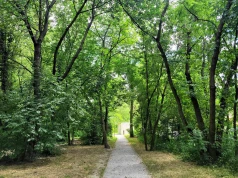 Park Łokietka zachwyca po rewitalizacji. Odkryj zieloną przestrzeń z historią w tle