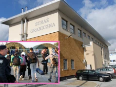 Martwa tłumaczka, która „pracuje”. Jak w Polsce fałszuje się dokumenty na legalizację pobytu
