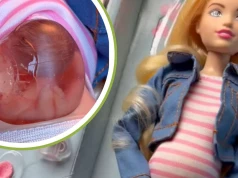 Lalka w ciąży wywołała mieszane uczucia. "Ona rodzi łożysko"