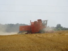 Nie ryzykuj w żniwa. Te elementy kombajnu kontroluj każdego dnia