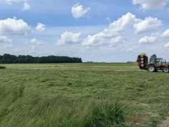 Łąkę nawozi się w trzech terminach. Jakie dawki stosować?