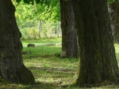 Alejki, staw, oświetlenie i zieleń. Tak zmieni się park w Urzejowicach