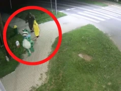 Goryl, żaba i banan przechadzali się po Włodawie. Niecodzienne nagranie z monitoringu