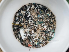 Mikroplastik w organizmie pod lupą. Ten preparat może pomóc go zatrzymać