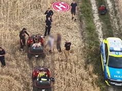 Zaginął podczas spaceru w lesie. 3,5-letniego chłopca odnaleziono kilometr od rodziców