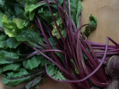 Wspiera serce i jelita. Ale ten polski superfood nie jest dla każdego. Komu może zaszkodzić?