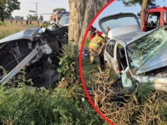 Auto w strzępach, kierowca zakleszczony w środku. O krok od tragedii