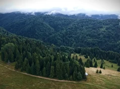 Siła ukryta w naturze. Inne oblicze Szczawnicy