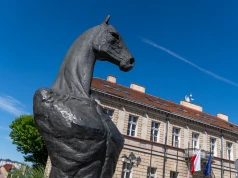 Seksowny koń z Konina podbił Internet. „Lepszy niż facet z Tindera”