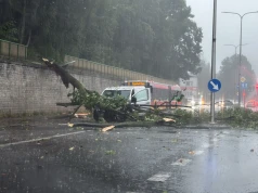 Nawałnica nad miastem: powalone drzewa, zalane drogi i piwnice
