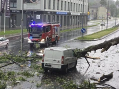 Z ostatniej chwili: O krok od tragedii w Bielsku-Białej! Drzewo spadło na jadące auto, ulica zablokowana!