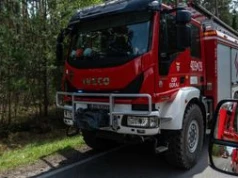 Burze nad Polską. Drzewo spadło na bryczkę, są ranni