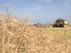 Pośpiech, zmęczenie i maszyny. Oto zasady, które pomogą uniknąć tragedii w czasie żniw