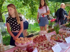 Gmina Wiśniew i wiśniowe szaleństwo po raz XVIII