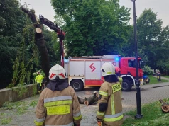Ponad dwieście wyjazdów strażaków