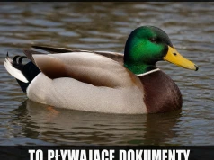 Kaczki mają tryb fabularny dla dorosłych